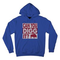 Buffalo Can You Digg It Great Football Fans Lovers Gift Hoodie