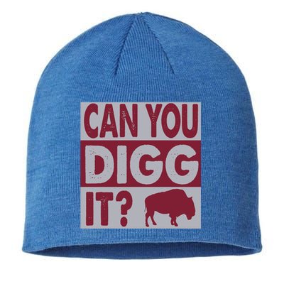 Buffalo Can You Digg It Great Football Fans Lovers Gift Sustainable Beanie