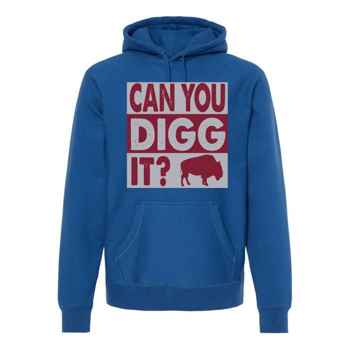 Buffalo Can You Digg It Great Football Fans Lovers Gift Premium Hoodie