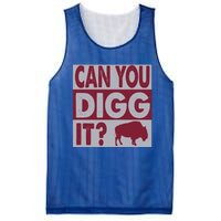 Buffalo Can You Digg It Great Football Fans Lovers Gift Mesh Reversible Basketball Jersey Tank