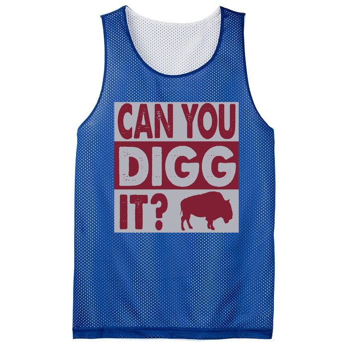 Buffalo Can You Digg It Great Football Fans Lovers Gift Mesh Reversible Basketball Jersey Tank