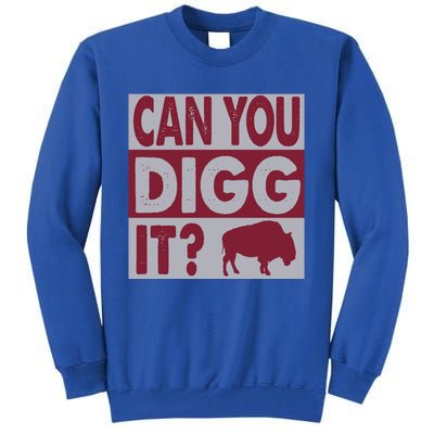 Buffalo Can You Digg It Great Football Fans Lovers Gift Tall Sweatshirt