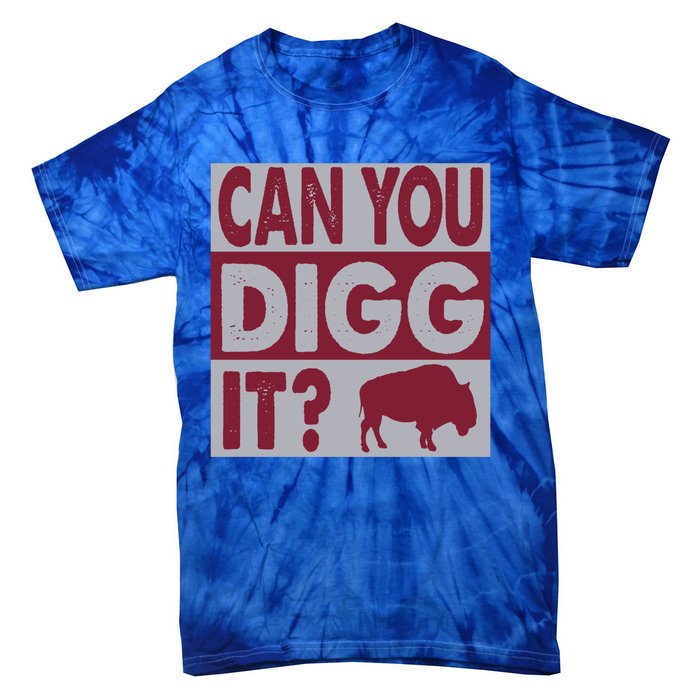 Buffalo Can You Digg It Great Football Fans Lovers Gift Tie-Dye T-Shirt