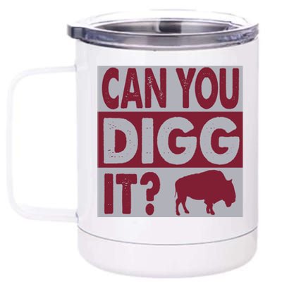 Buffalo Can You Digg It Great Football Fans Lovers Gift 12 oz Stainless Steel Tumbler Cup