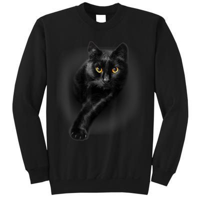 Black Cat Yellow Eyes TShirt Cats Tee Shirt Sweatshirt