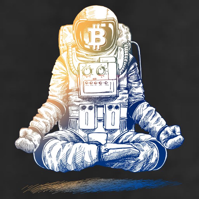 Bitcoin Cryptocurrency Yoga Astronaut Adult Drive Performance Visor