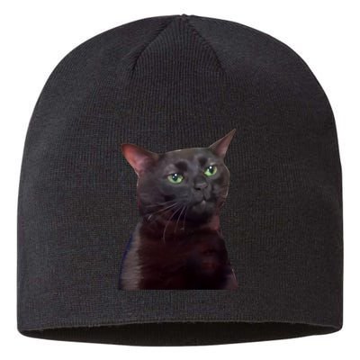 Black Cat Zoning Out Sustainable Beanie