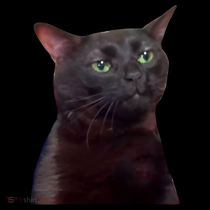 Black Cat Zoning Out 16 in Basic Backpack