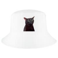 Black Cat Zoning Out Cool Comfort Performance Bucket Hat