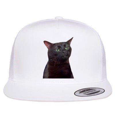 Black Cat Zoning Out Flatbill Hat