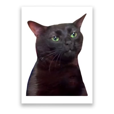 Black Cat Zoning Out Poster