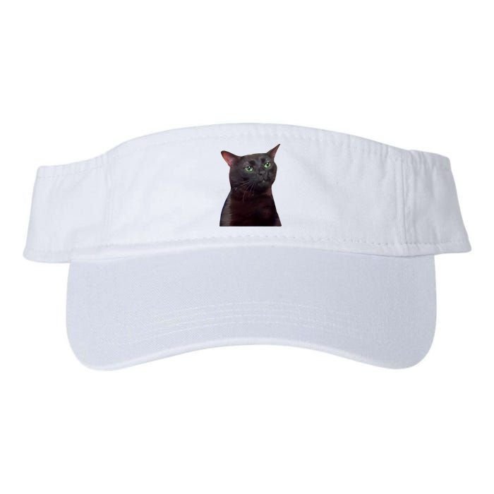 Black Cat Zoning Out Visor