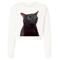 Black Cat Zoning Out Cropped Pullover Crew
