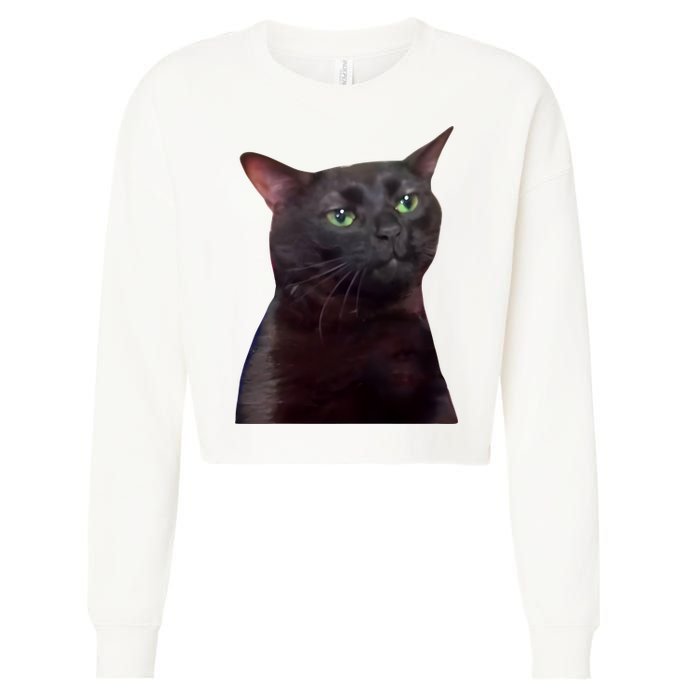 Black Cat Zoning Out Cropped Pullover Crew