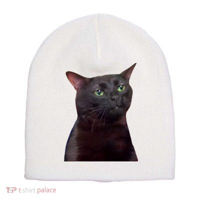 Black Cat Zoning Out Short Acrylic Beanie