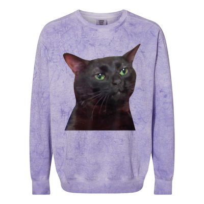 Black Cat Zoning Out Colorblast Crewneck Sweatshirt