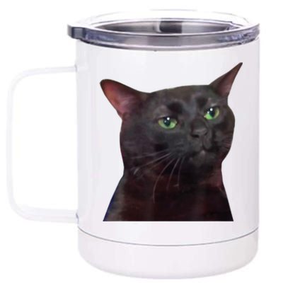 Black Cat Zoning Out 12 oz Stainless Steel Tumbler Cup