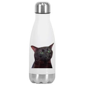 Black Cat Zoning Out Stainless Steel Insulated Water Bottle