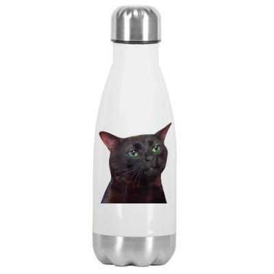 Black Cat Zoning Out Stainless Steel Insulated Water Bottle