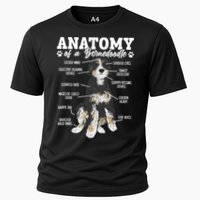Bernedoodle Dog Anatomy Of A Bernedoodle Cooling Performance Crew T-Shirt