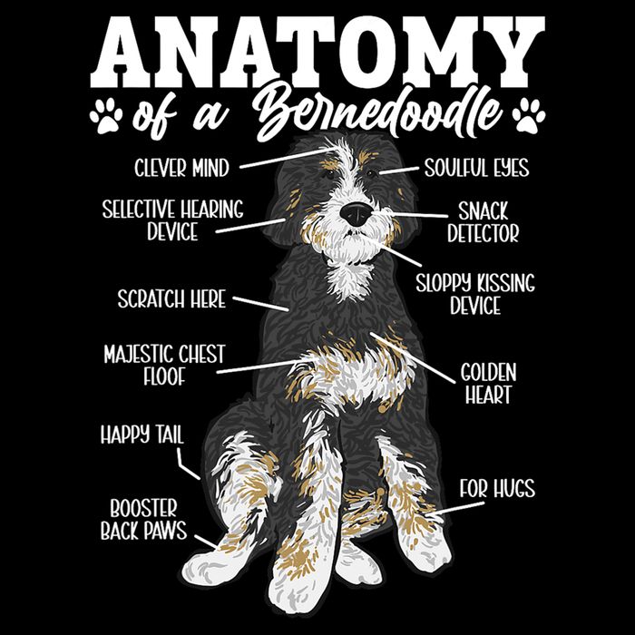 Bernedoodle Dog Anatomy Of A Bernedoodle Cooling Performance Crew T-Shirt