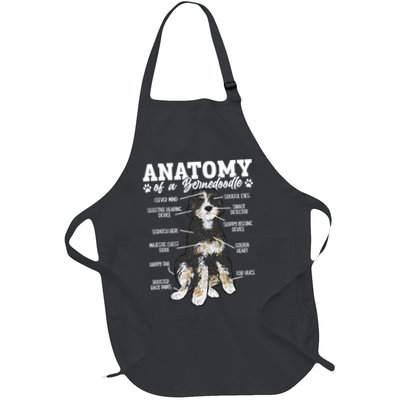 Bernedoodle Dog Anatomy Of A Bernedoodle Apron