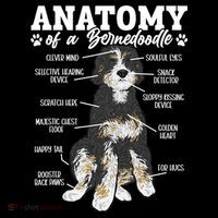 Bernedoodle Dog Anatomy Of A Bernedoodle Tall T-Shirt