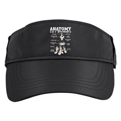Bernedoodle Dog Anatomy Of A Bernedoodle Adult Drive Performance Visor