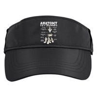 Bernedoodle Dog Anatomy Of A Bernedoodle Adult Drive Performance Visor