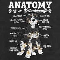 Bernedoodle Dog Anatomy Of A Bernedoodle Adult Drive Performance Visor