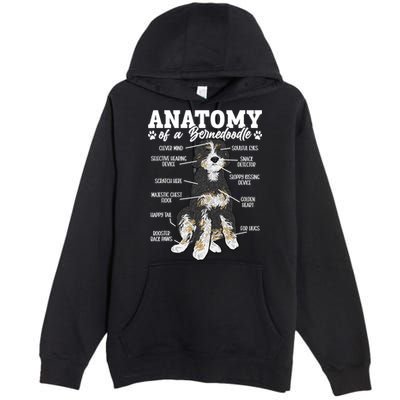 Bernedoodle Dog Anatomy Of A Bernedoodle Premium Pullover Hoodie