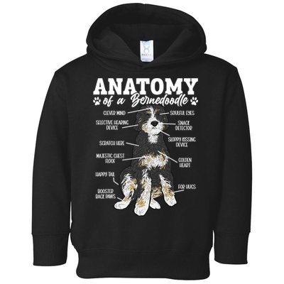 Bernedoodle Dog Anatomy Of A Bernedoodle Toddler Hoodie