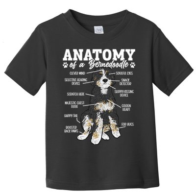 Bernedoodle Dog Anatomy Of A Bernedoodle Toddler T-Shirt