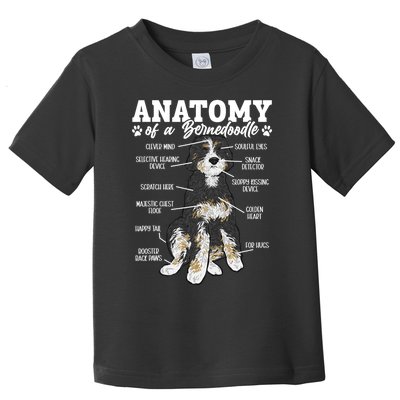 Bernedoodle Dog Anatomy Of A Bernedoodle Toddler T-Shirt