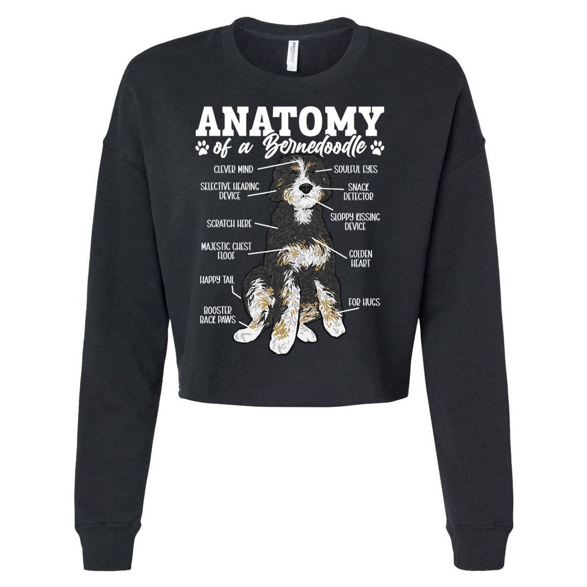 Bernedoodle Dog Anatomy Of A Bernedoodle Cropped Pullover Crew