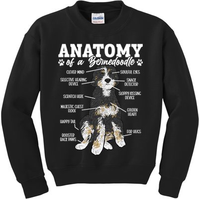 Bernedoodle Dog Anatomy Of A Bernedoodle Kids Sweatshirt