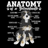 Bernedoodle Dog Anatomy Of A Bernedoodle Zip Tote Bag