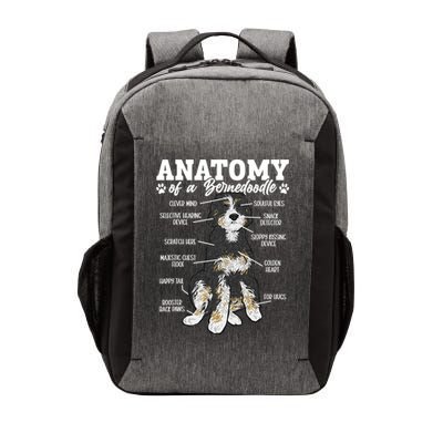 Bernedoodle Dog Anatomy Of A Bernedoodle Vector Backpack