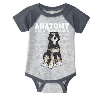Bernedoodle Dog Anatomy Of A Bernedoodle Infant Baby Jersey Bodysuit