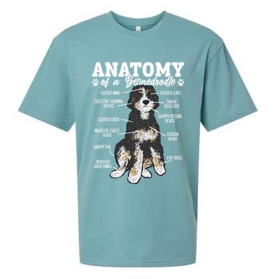 Bernedoodle Dog Anatomy Of A Bernedoodle Sueded Cloud Jersey T-Shirt