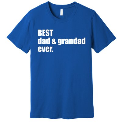 Best Dad And Grandad Ever Gift Fathers Day Funny Gift Premium T-Shirt