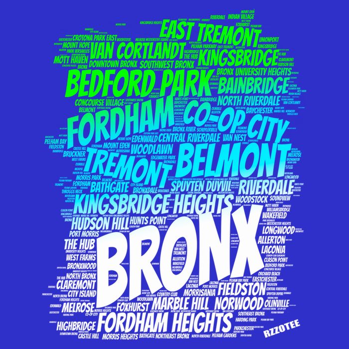 Boogie Down Bronx New York City Pride Map Area Like A Zoo Gift Baby Bodysuit