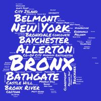 Boogie Down Bronx Neighborhoods Word Cloud Bronx New York Cute Gift Womens T-Shirt