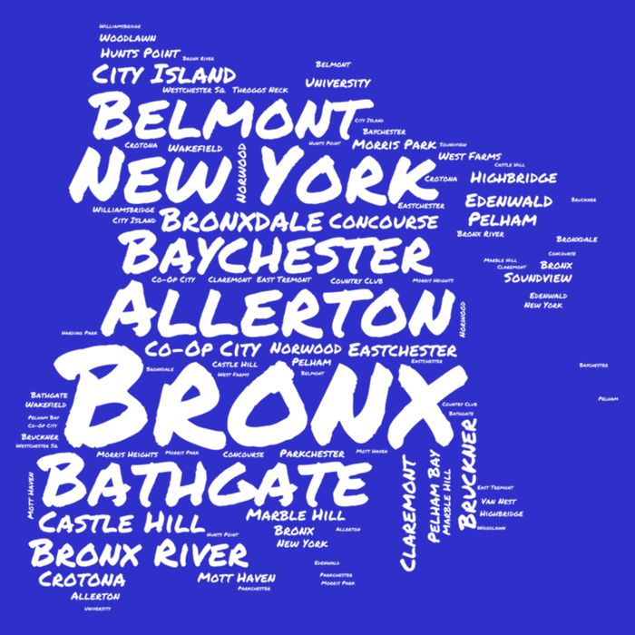 Boogie Down Bronx Neighborhoods Word Cloud Bronx New York Cute Gift Womens T-Shirt