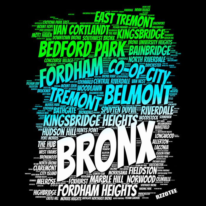 Boogie Down Bronx New York City Pride Map Area Like A Zoo Funny Gift Backpack