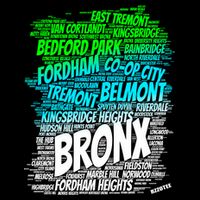 Boogie Down Bronx New York City Pride Map Area Like A Zoo Funny Gift Sustainable Bucket Hat