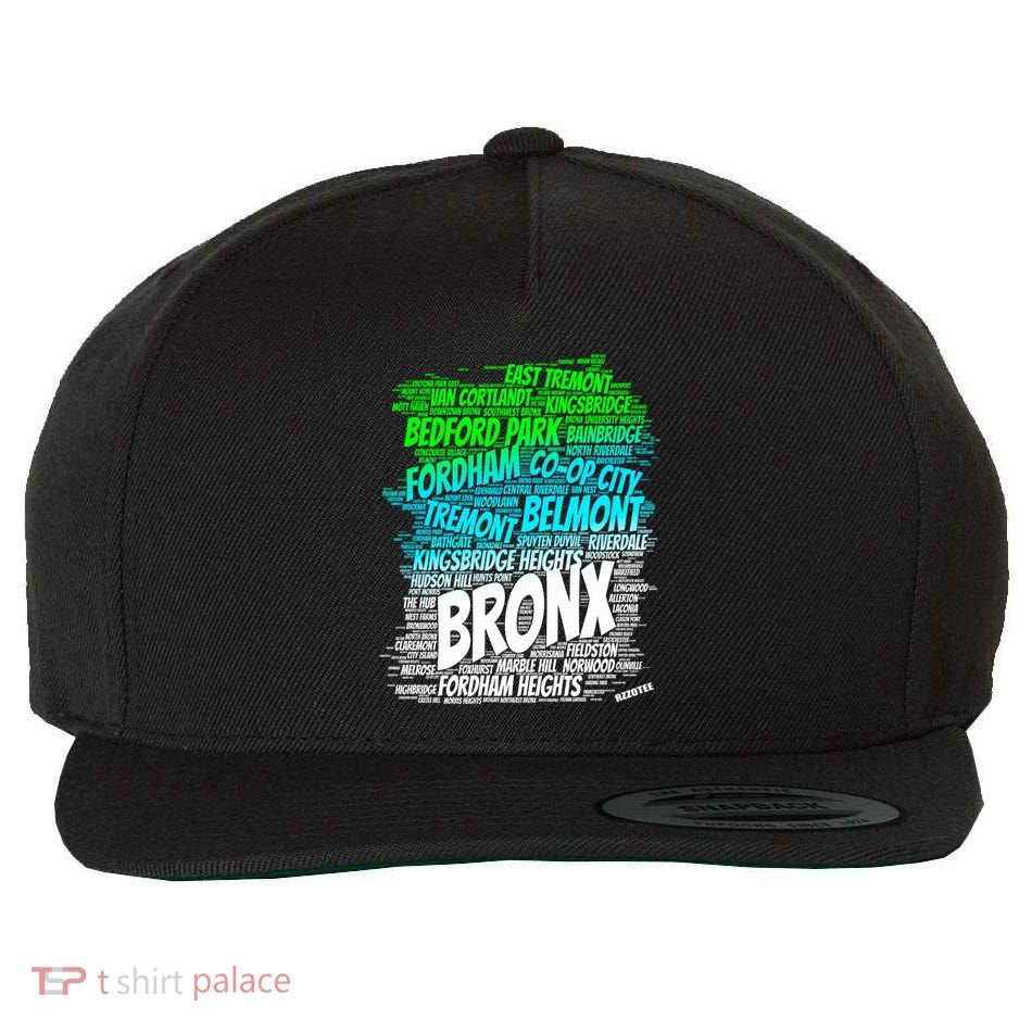 Boogie Down Bronx New York City Pride Map Area Like A Zoo Funny Gift Wool Snapback Cap
