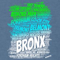 Boogie Down Bronx New York City Pride Map Area Like A Zoo Funny Gift Garment-Dyed Sweatshirt