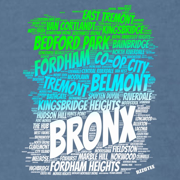 Boogie Down Bronx New York City Pride Map Area Like A Zoo Funny Gift Garment-Dyed Sweatshirt