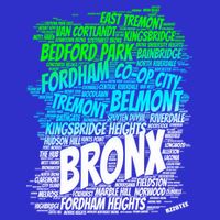 Boogie Down Bronx New York City Pride Map Area Like A Zoo Funny Gift 16 in Basic Backpack